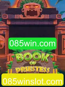 Descubra o Fascinante Mundo de BookOfPriestess
